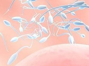 高龄试管成功秘籍：四十多岁夫妇如何提升试管婴儿成功率